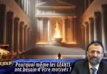 Pourquoi même les GÉANTS ont besoin d’être motivés ? – #LJDLP