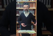 Chien ou LION : votre foi en jeu ? – #HDS