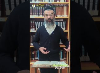 Chien ou LION : votre foi en jeu ? – #HDS