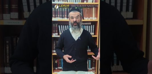 Chien ou LION : votre foi en jeu ? – #HDS