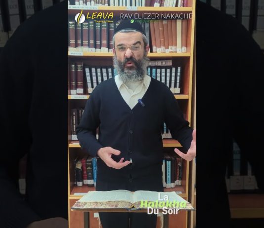 Chien ou LION : votre foi en jeu ? – #HDS