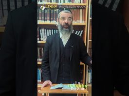 Bénédiction des arbres : ZÈLE ou minyan ? – #HDS