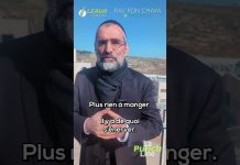 Le test de la COLÈRE