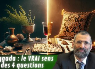 Haggada : le VRAI sens des 4 questions – #PESSAH