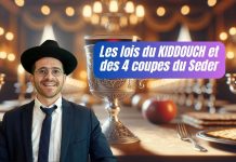 Les lois du KIDDOUCH et des 4 coupes du Seder – #HA