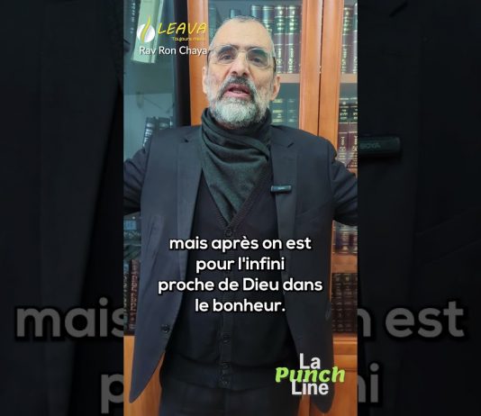 Pourquoi tout finit TOUJOURS bien ?