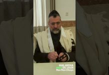 NŒUDS de Chabbat : permis ou interdit ? – #HDJ