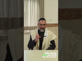 Comment BRÛLER son ‘Hametz ? – #HDJ #PESSAH
