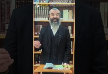 La BRAKHA sur les arbres – #HDS