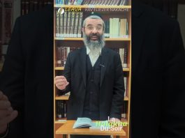 La BRAKHA sur les arbres – #HDS