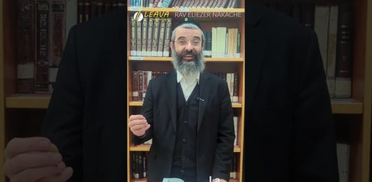 La BRAKHA sur les arbres – #HDS