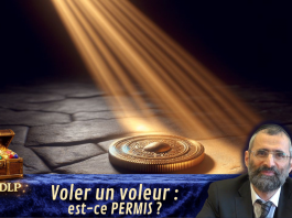 Voler un voleur : est-ce PERMIS ? – #LJDLP