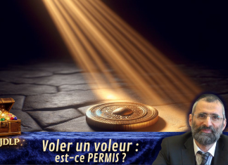 Voler un voleur : est-ce PERMIS ? – #LJDLP