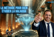 La MÉTHODE pour bien étudier la Halakha