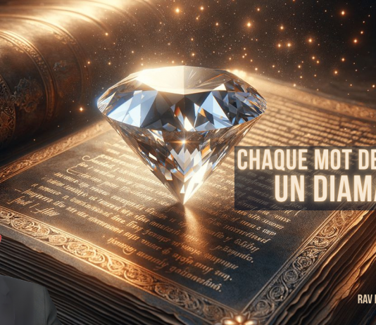 Chaque mot de Torah : un DIAMANT – Rav Raphaël SABBAH