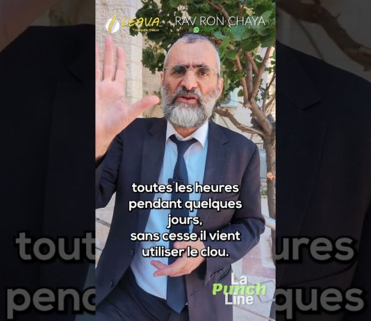 Une muraille SOLIDE – #1R1Q #1Q1R