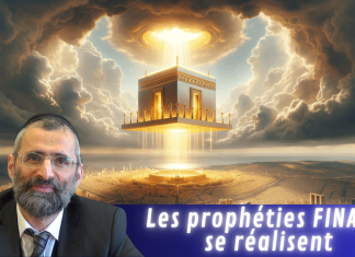 Les prophéties FINALES se réalisent