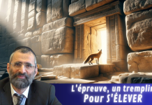 L’épreuve, un tremplin pour S’ÉLEVER