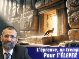 L’épreuve, un tremplin pour S’ÉLEVER