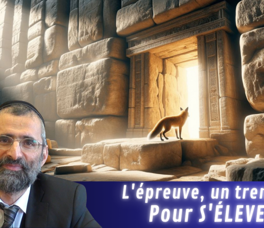 L’épreuve, un tremplin pour S’ÉLEVER