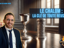 Le Chalom : la clé de TOUTE réussite – #MDJ
