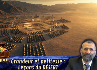 Grandeur et petitesse : leçons du DÉSERT – #LJDLP