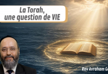 La Torah, une question de VIE – Rav Avraham Garcia
