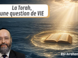 La Torah, une question de VIE – Rav Avraham Garcia