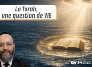 La Torah, une question de VIE – Rav Avraham Garcia