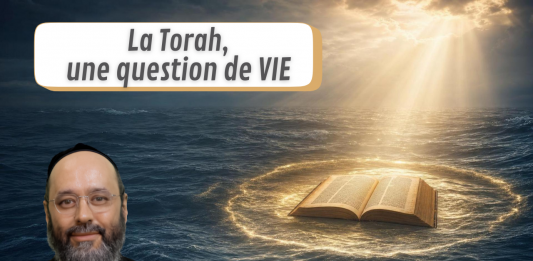 La Torah, une question de VIE – Rav Avraham Garcia