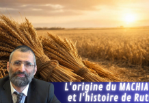 L’origine du MACHIA’H et l’histoire de Ruth