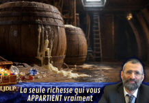La seule richesse qui vous APPARTIENT vraiment – #LJDLP