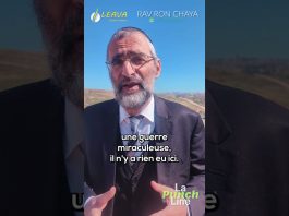 La protection MIRACULEUSE d’Israël