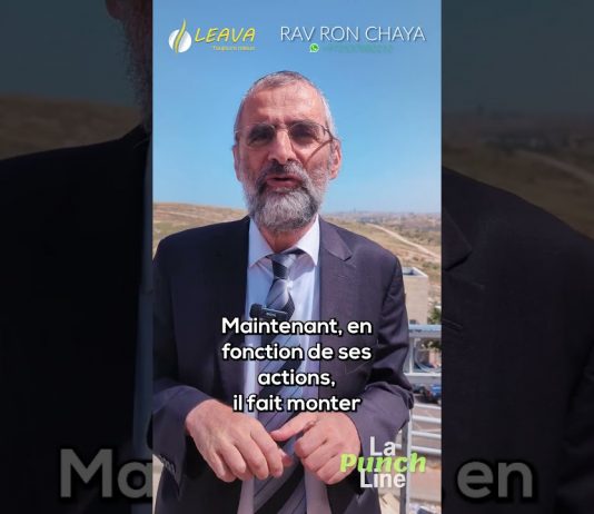 Votre IMPACT sur l’UNIVERS