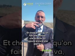 Chaque mitsva, une PIERRE