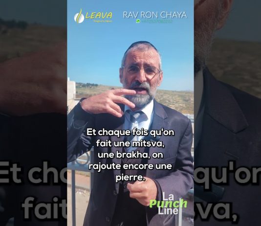 Chaque mitsva, une PIERRE