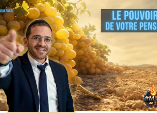 Le POUVOIR de votre pensée