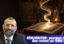 RÉINCARNATION : pourquoi votre âme revient sur TERRE ?