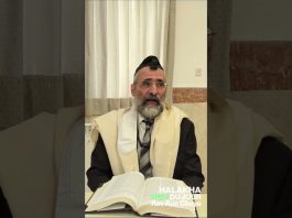 Parler après la BRAKHA ? – #HDJ
