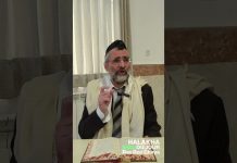Birkat Hamazone : réparer un OUBLI – #HDJ