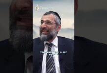 Ramassez les DIAMANTS ! – #ETC